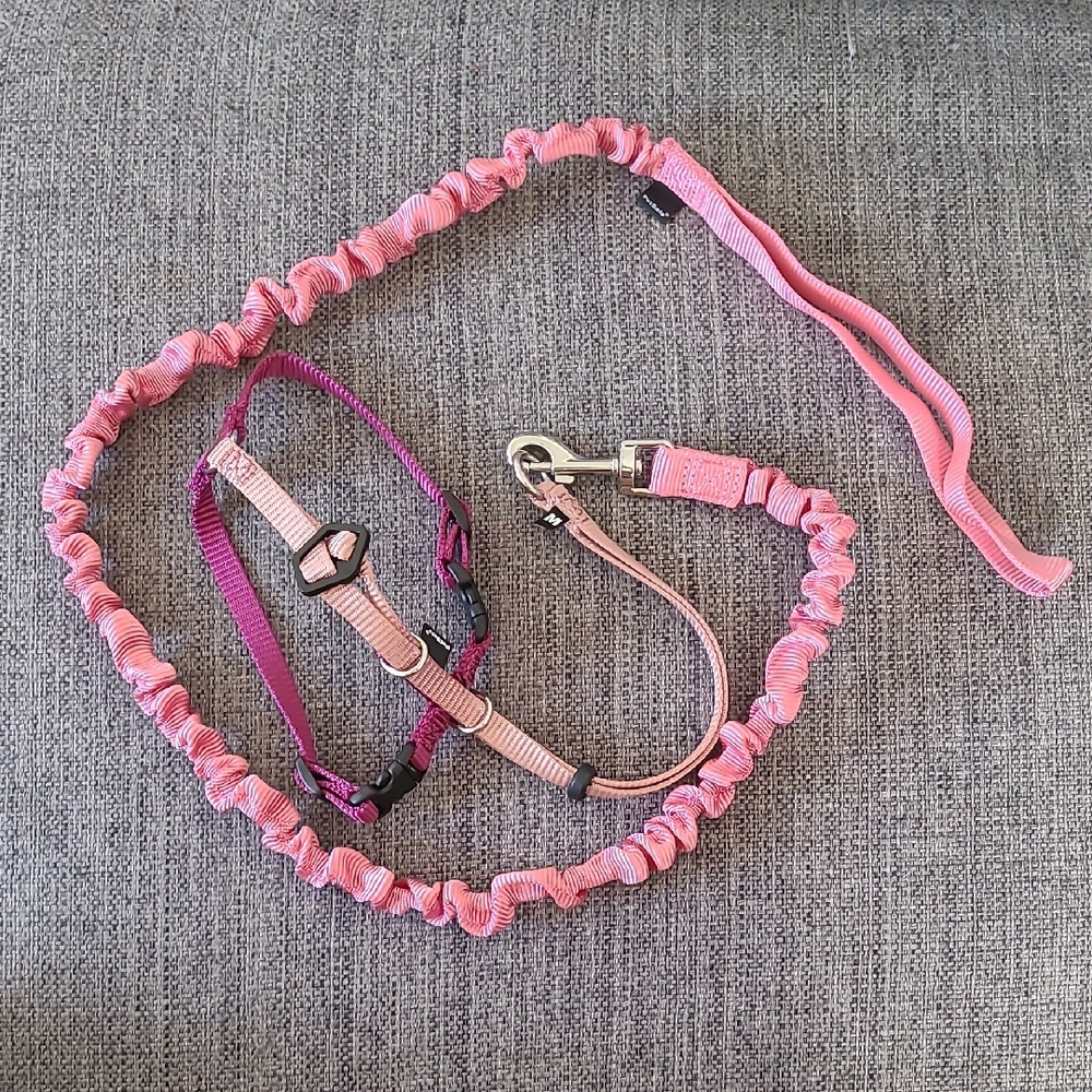 Come With Me Kitty Cat Harness w/ Leash, Adjustable, Pink, Size Med
